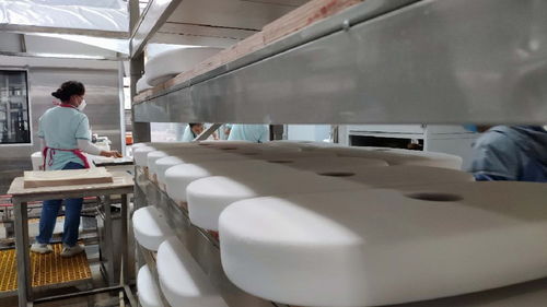 永川帝王潔具智能衛浴生產項目 打造全國最大智能馬桶工廠及安裝服務新標桿