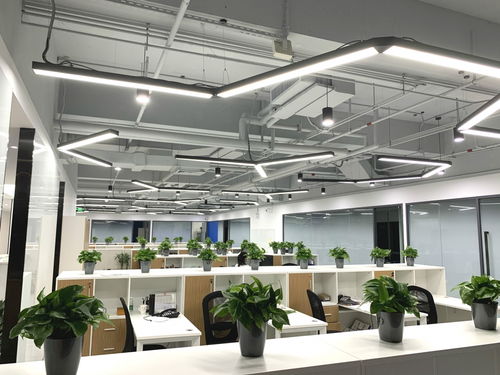 開放而嚴謹 輕松易筑攜手維度科技，以創新材料打造研發辦公新典范